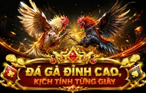 Giao diện sảnh Đá Gà skertechnology với bố cục xem trận và nạp nội địa